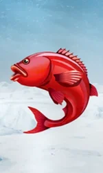 Ice Fishing